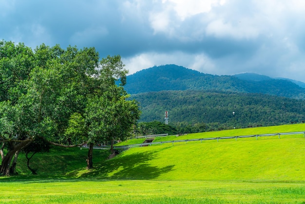 Un lugar público, viajes de ocio, amplio césped y un gran paisaje arbóreo en el parque para relajarse en el bosque natural. Vistas a la montaña. Fondo de cielo nublado primaveral con nubes blancas en la Universidad de Chiang Mai.