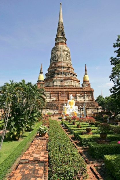 Foto lugar del templo ayutthaya wat yai chaimongkol tailandia siam asia