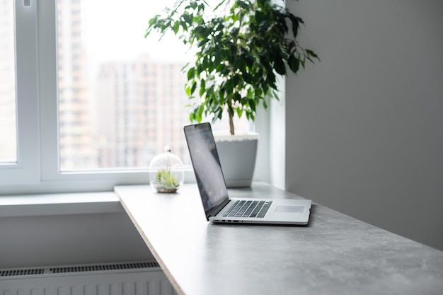 Lugar de trabajo en mesa gris con computadora portátil, silla roja flor verde y lápices en el interior de la oficina moderna con ventana grande en el fondo