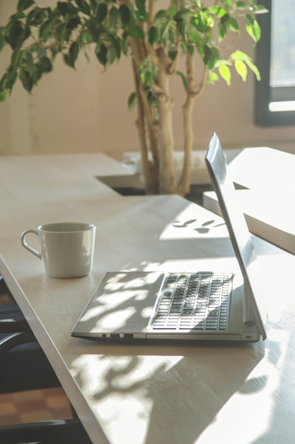 Lugar de trabajo moderno con laptop en las sombras.