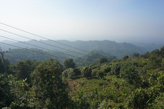 El lugar turístico de Nilgiri Bandarban Bangladesh