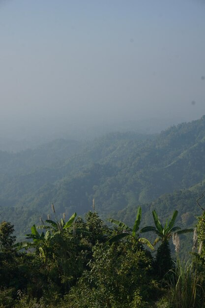 El lugar turístico de Nilgiri Bandarban Bangladesh