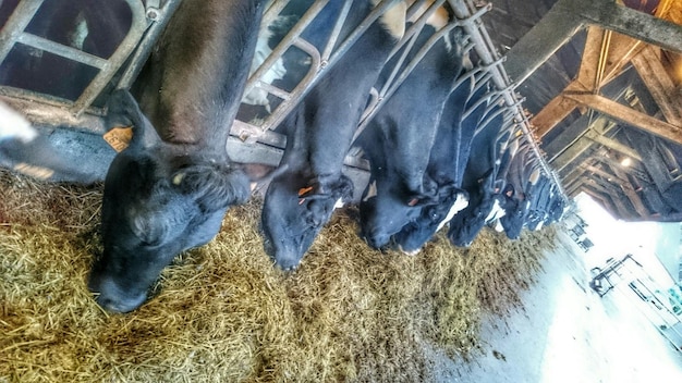 Los lugares en los que he estado hoy en Ferme De Coubertin