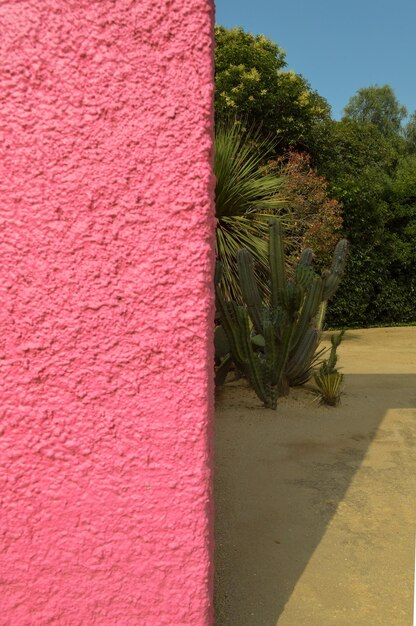 Luis barragans cuadra san cristobal muro rosa vegetación endémica y arenal al fondo