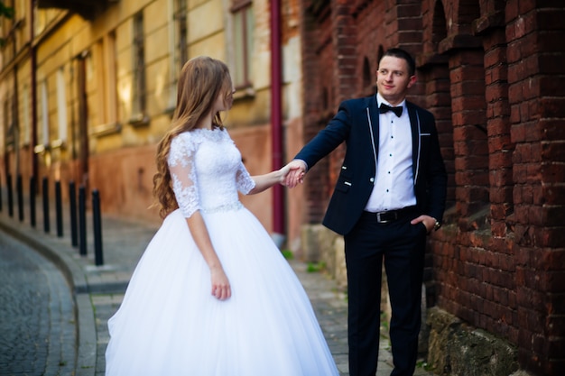 Lujo elegante joven novia y el novio