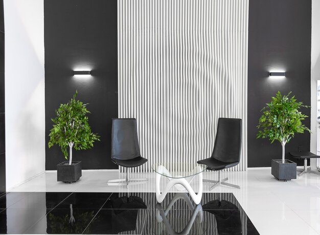 Lujoso interior moderno futurista de moda en colores contrastantes en blanco y negro con interesantes muebles negros de moda y paredes decoradas