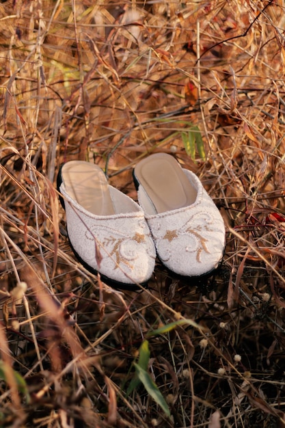 Lujosos zapatos de boda marrones