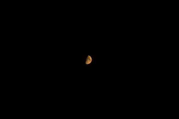 Luna amarilla brillante en el cielo nocturno