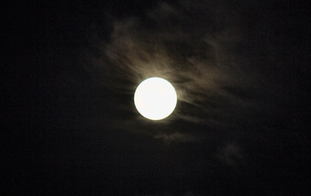 La luna en el cielo nocturno. Luna llena, claro de luna