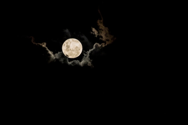 Foto luna llena brasileña