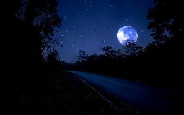 Foto luna llena sobre el bosque con el camino