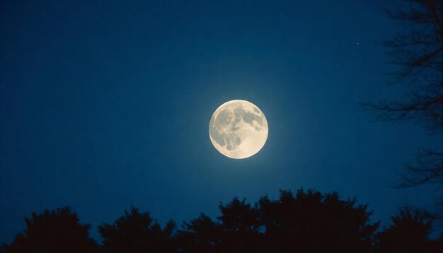 la luna llena se ve en el cielo nocturno