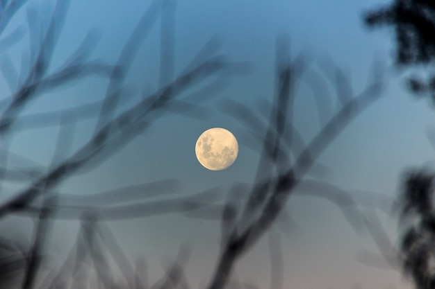 Foto luna llena