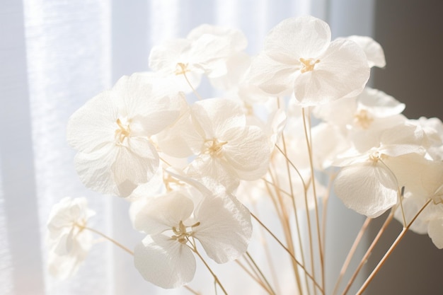 Foto lunaria seca para bodas