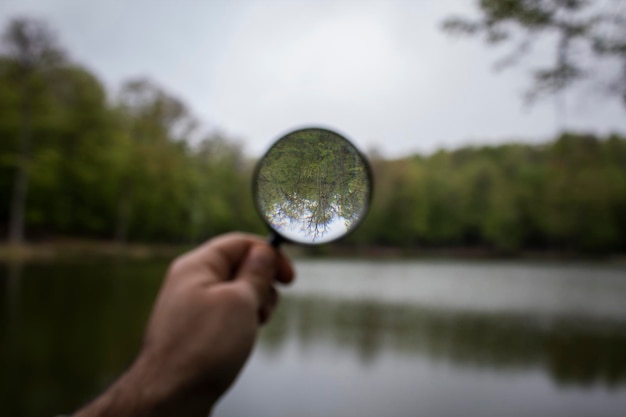 Lupa sobre el fondo del lago y el bosque.