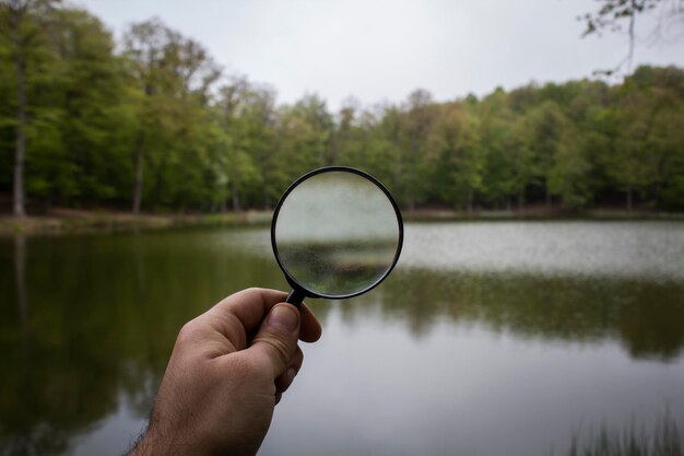 Lupe auf dem Hintergrund des Sees und des Waldes