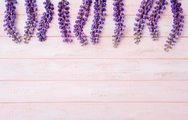 Foto lupine auf pastellrosa holz