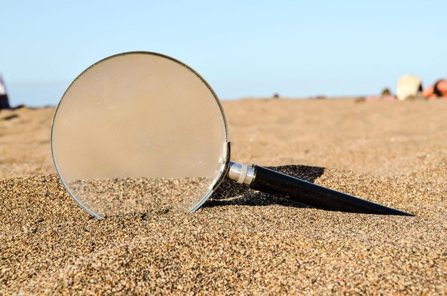 Lúpula na praia de areia