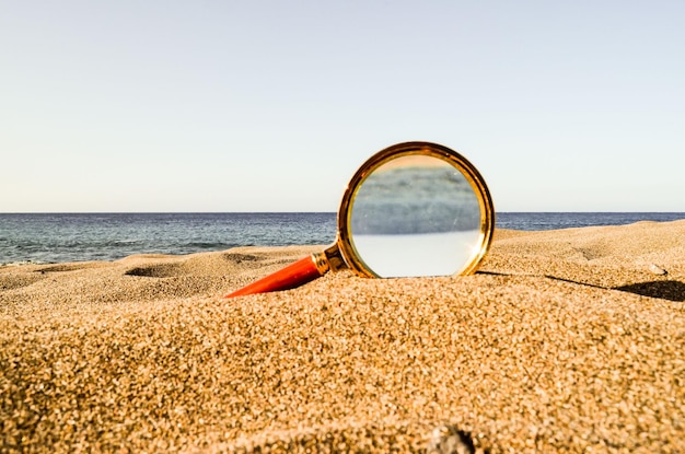 Lúpula en la playa de arena