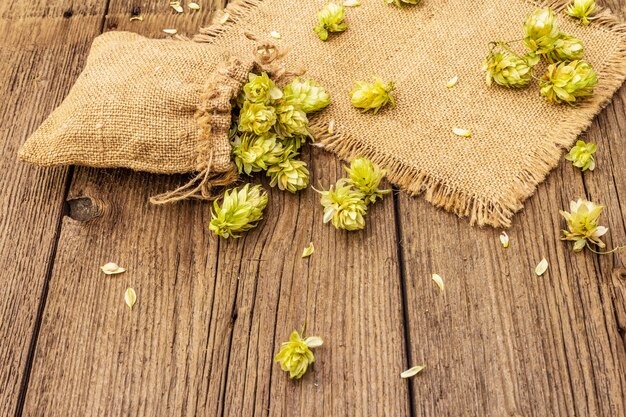 Lúpulo entero en bolsa sobre mesa de madera vieja. Cervecería. Ingredientes de la cerveza. Saco de lúpulo en tableros vintage