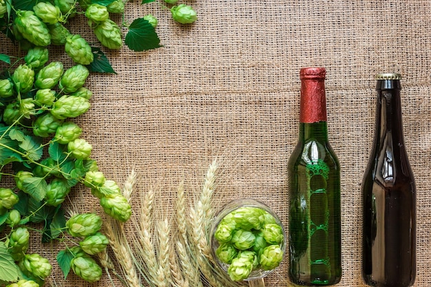 Lúpulo fresco verde com trigo e duas garrafas de cerveja como área de texto do quadro de espaço de cópia no pano de fundo