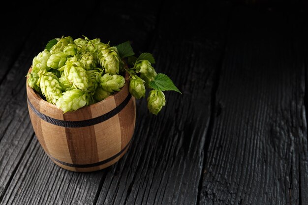 Lúpulo verde en un barril de madera sobre un fondo de madera negra copia el espacio Tradiciones de elaboración de cerveza Día de San Patricio de octubre