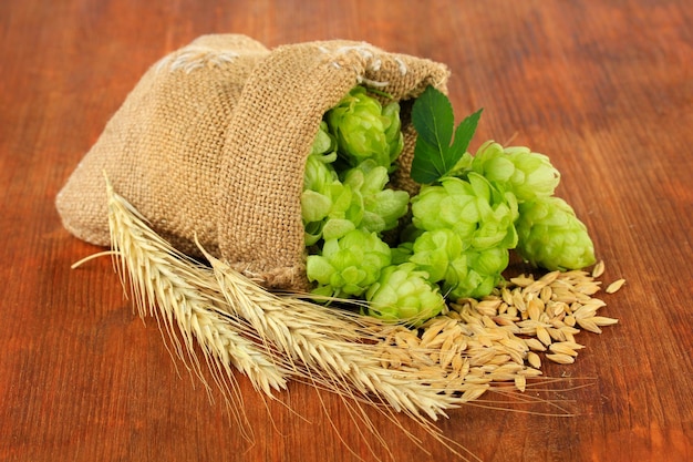 Lúpulo verde fresco em saco de serapilheira e cevada em fundo de madeira