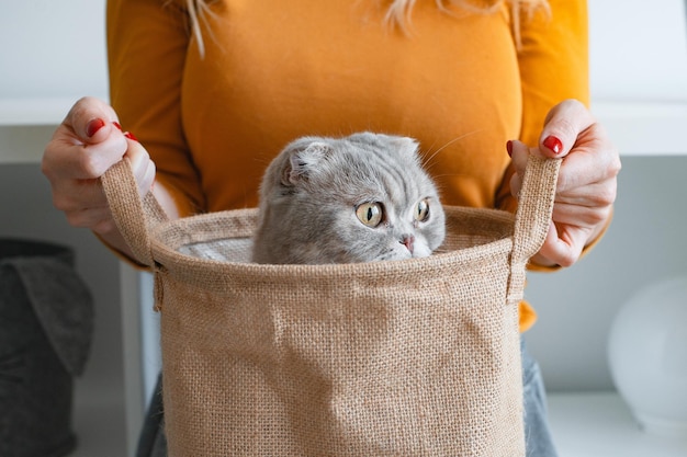 Lustige graue Katze sitzt in einem Leinenkorb, der von einer Frau in einer gelben Jacke gehalten wird