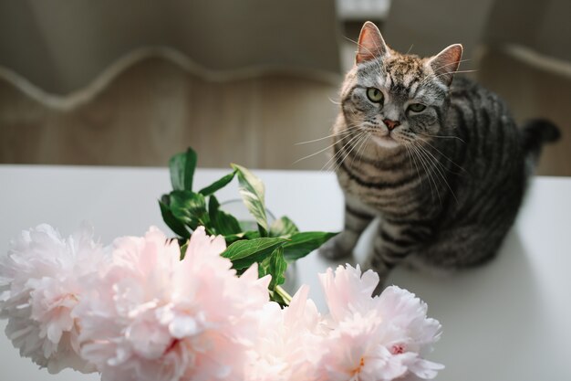 Lustige Katze und Krug mit Blumen auf einem Tisch