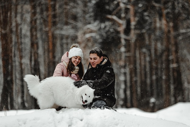 Lustige weiße Hunde gehen im Winter in einem verschneiten Wald spazieren