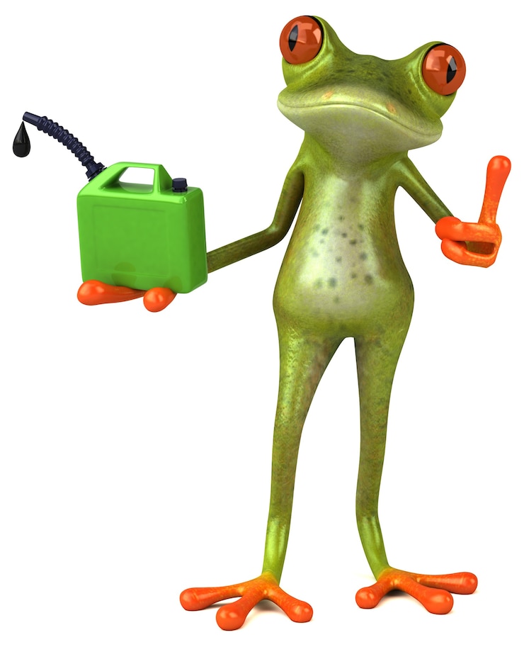 Foto lustiger frosch