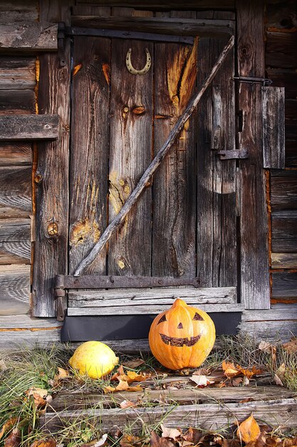 Lustiger Halloween-Kürbis im Herbstpark mit Herbstlaub auf altem verwittertem hölzernem Badehaushintergrund.