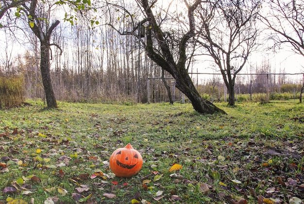 Lustiger Halloween-Kürbis im Herbstpark mit Herbstlaub.