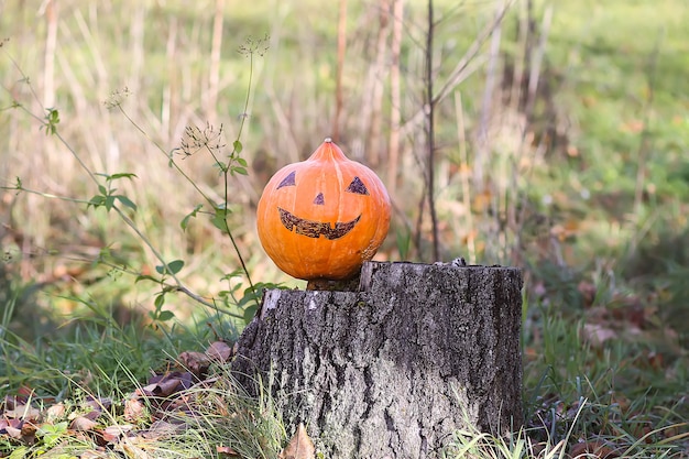 Lustiger Halloween-Kürbis mit gruseligem Gesicht im Herbstlaub im Herbstgarten auf einem Baumstumpf