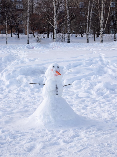 Lustiger Schneemann in einem Winterpark