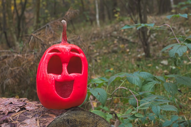 Lustiger und netter Halloween-Kürbis von rosa Farbe im Herbstwald auf einem gefällten Baumstamm