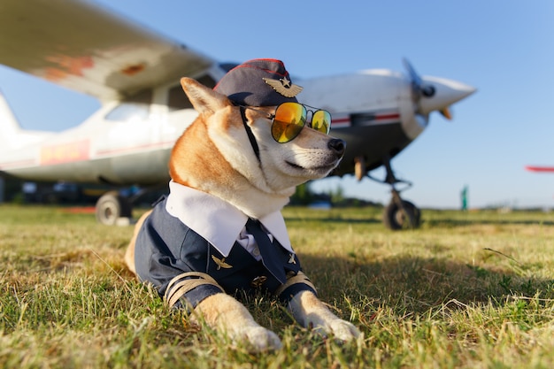 Lustiges Foto des Shiba Inu-Hundes in einer Pilotklage am Flughafen