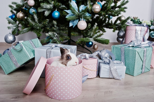 Lustiges Häschen an der Geschenkbox unter dem Baum des neuen Jahres. Frohes Winterferienkonzept.