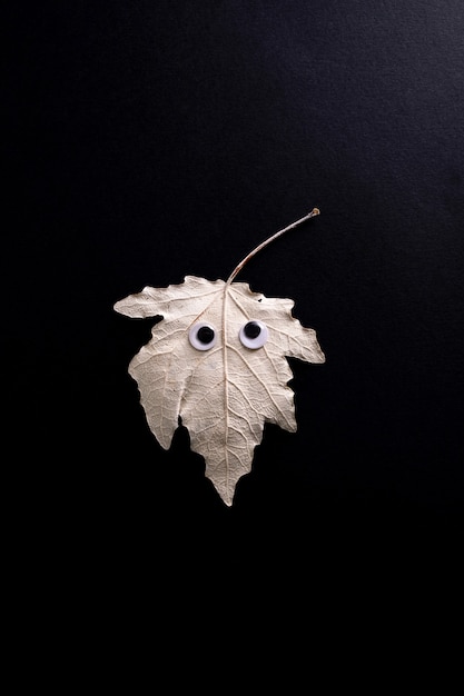 Lustiges Halloween-Konzept. Herbstblatt mit Augen wie ein Geist auf schwarzem Hintergrund. Ansicht von oben, flach