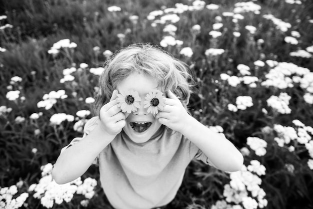 Lustiges Jungenkind und Gänseblümchen glückliches kleines blondes Haarkind mit den Blumenaugen, die auf das Gras mit d legen