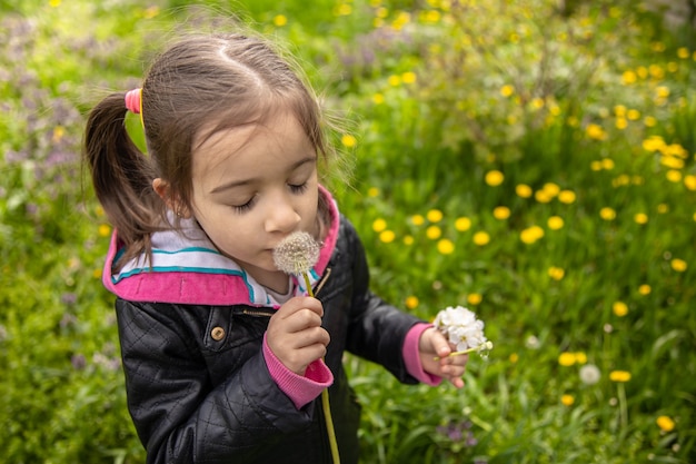 Lustiges kleines Mädchen, das auf einer Löwenzahnblume unter frischem Frühlingsgras durchbrennt.