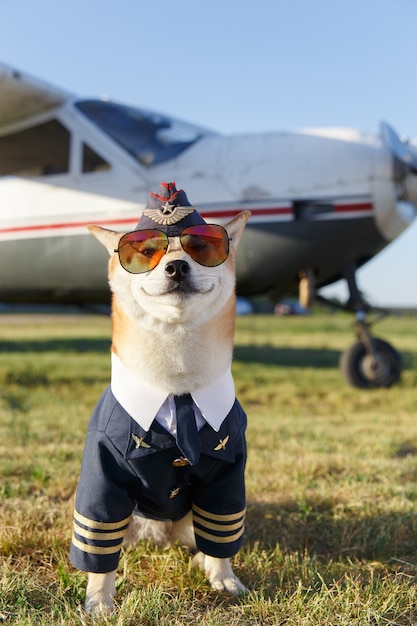 Lustiges Nahaufnahmefoto eines lächelnden Shiba Inu-Hundes in einem Pilotenanzug in der Nähe des Flugzeugs