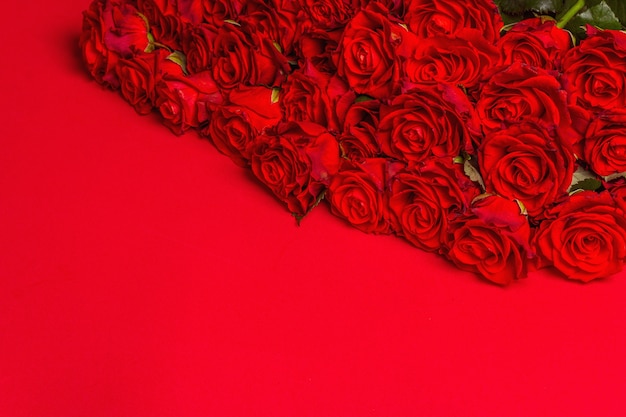 Luxuoso buquê de rosas vermelhas frescas. O conceito festivo para casamentos, aniversários, dia 8 de março, dia das mães ou dos namorados. Cartão de felicitações, fundo vermelho fosco
