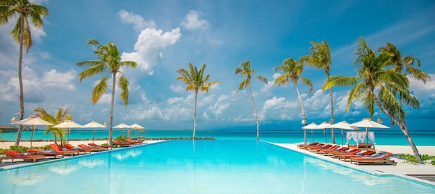 Luxuriöser Strandresort Swimmingpool Liegestühle oder Liegestühle unter Sonnenschirmen Palmen