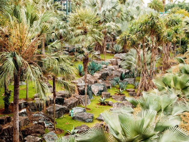 Luxuslandschaftsgestaltung des tropischen Gartens. Schöne Aussicht auf tropische Landschaft