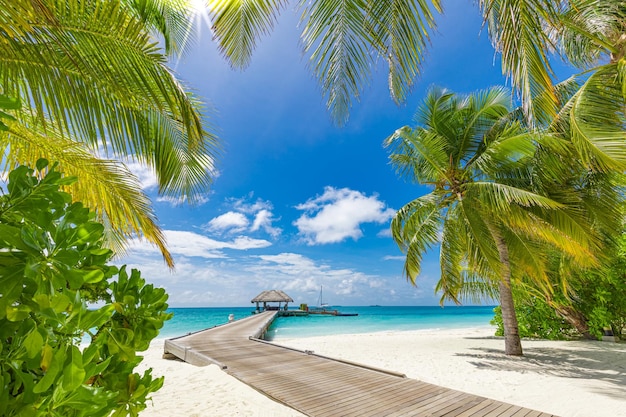 Luxusresort auf den Malediven mit Wasservillen und Palmenblättern, blauem Meer, Meereslandschaft. Reisehintergrund