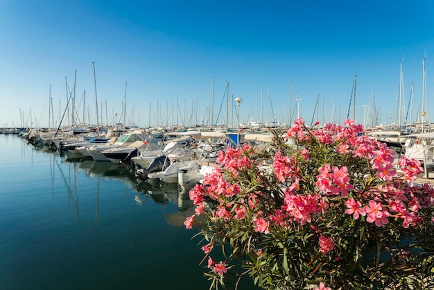 Luxusyachten in Cote d'Azur Frankreich