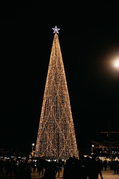 Luz de un árbol de Navidad en la ciudad de Grozny. Árbol de Navidad de 45 metros en la plaza de la ciudad nocturna.