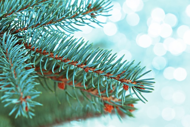 Luz del árbol de navidad