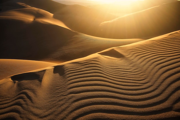 Foto la luz del atardecer ilumina las dunas en el desierto